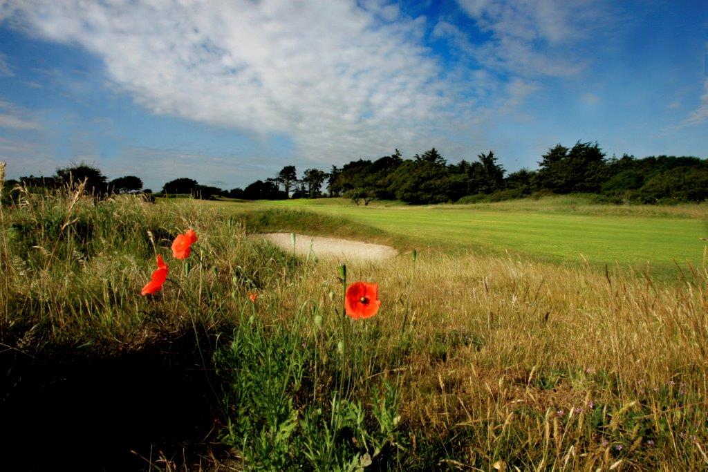 Golfgrün mit Bunker auf dem Seapoint Golfplatz in der Nähe von Dublin, Irland