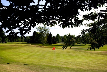 Golfgrün mit Markierungsfahne auf dem Belvoir Golfplatz in der Nähe von Belfast, Nordirland